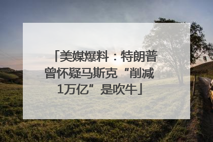 美媒爆料：特朗普曾怀疑马斯克“削减1万亿”是吹牛