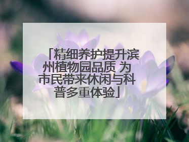 精细养护提升滨州植物园品质 为市民带来休闲与科普多重体验