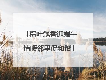 粽叶飘香迎端午 情暖邻里促和谐