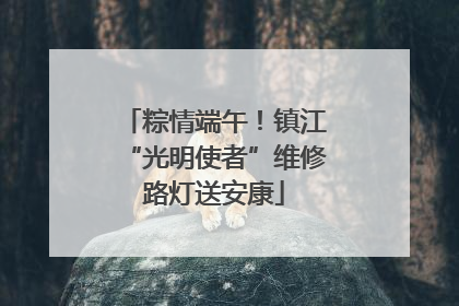 粽情端午！镇江“光明使者”维修路灯送安康
