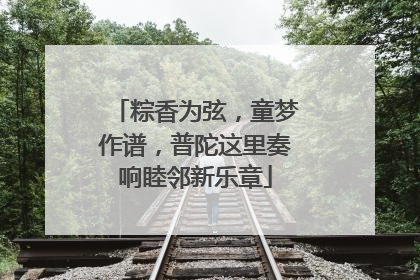 粽香为弦，童梦作谱，普陀这里奏响睦邻新乐章