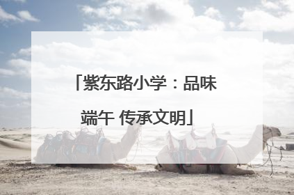 紫东路小学：品味端午 传承文明