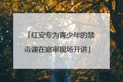 红安专为青少年的禁毒课在庭审现场开讲