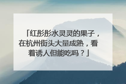 红彤彤水灵灵的果子，在杭州街头大量成熟，看着诱人但能吃吗？