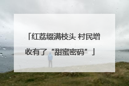 红荔缀满枝头 村民增收有了“甜蜜密码”