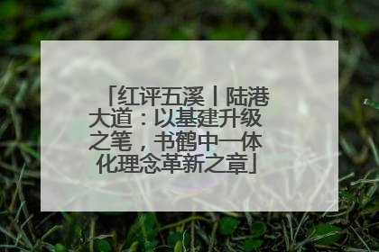 红评五溪丨陆港大道：以基建升级之笔，书鹤中一体化理念革新之章