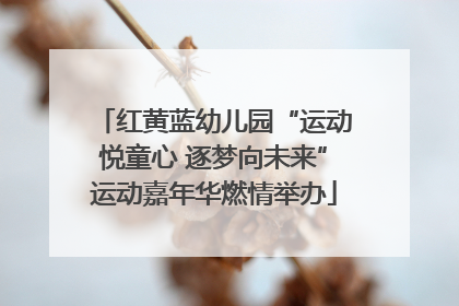 红黄蓝幼儿园“运动悦童心 逐梦向未来”运动嘉年华燃情举办