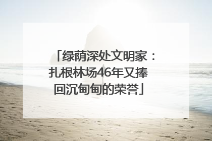 绿荫深处文明家：扎根林场46年又捧回沉甸甸的荣誉