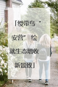 绶带鸟“安营” 绘就生态增收新景致