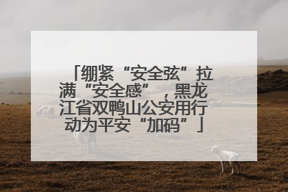 绷紧“安全弦”拉满“安全感”，黑龙江省双鸭山公安用行动为平安“加码”