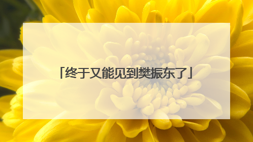终于又能见到樊振东了