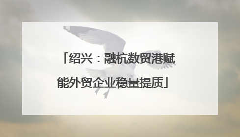 绍兴：融杭数贸港赋能外贸企业稳量提质