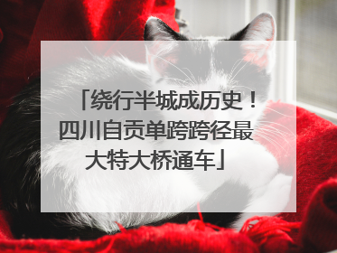 绕行半城成历史！四川自贡单跨跨径最大特大桥通车