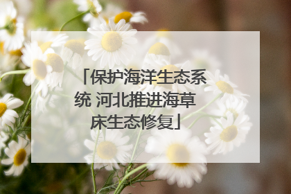 保护海洋生态系统 河北推进海草床生态修复