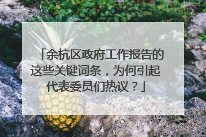 余杭区政府工作报告的这些关键词条，为何引起代表委员们热议？