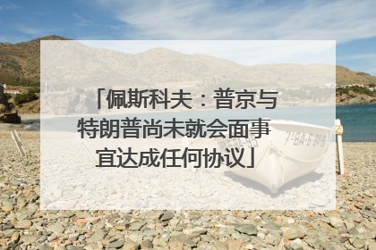 佩斯科夫：普京与特朗普尚未就会面事宜达成任何协议