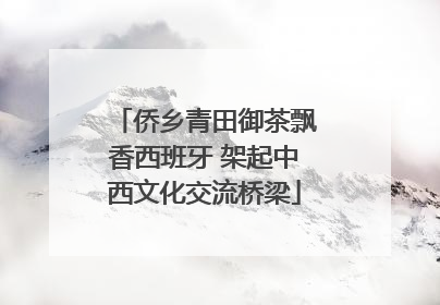 侨乡青田御茶飘香西班牙 架起中西文化交流桥梁