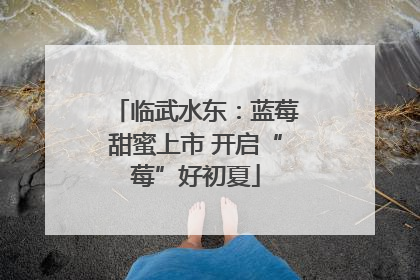 临武水东：蓝莓甜蜜上市 开启“莓”好初夏