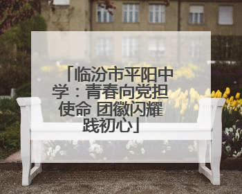 临汾市平阳中学：青春向党担使命 团徽闪耀践初心