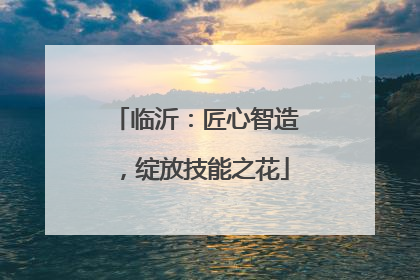 临沂：匠心智造，绽放技能之花