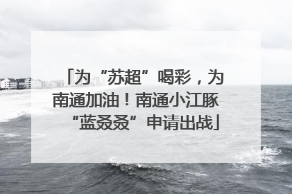 为“苏超”喝彩，为南通加油！南通小江豚“蓝叒叒”申请出战