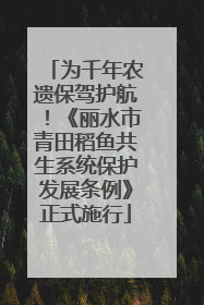 为千年农遗保驾护航!《丽水市青田稻鱼共生系统保护发展条例》正式施行