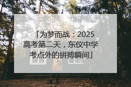 为梦而战：2025高考第二天，东仪中学考点外的拼搏瞬间