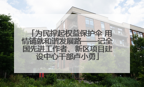 为民撑起权益保护伞 用情铺就和谐发展路——记全国先进工作者、新区项目建设中心干部卢小勇