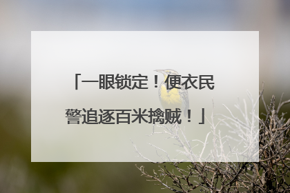 一眼锁定！便衣民警追逐百米擒贼！