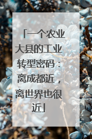 一个农业大县的工业转型密码：离成都近，离世界也很近
