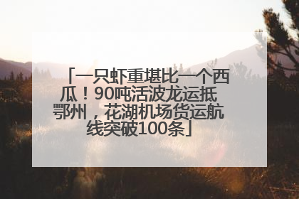 一只虾重堪比一个西瓜！90吨活波龙运抵鄂州，花湖机场货运航线突破100条