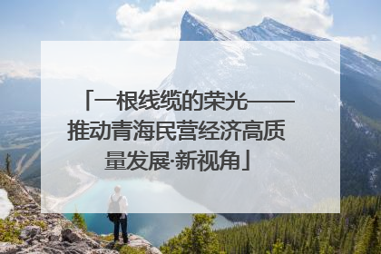 一根线缆的荣光——推动青海民营经济高质量发展·新视角