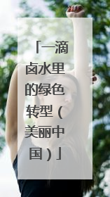 一滴卤水里的绿色转型（美丽中国）