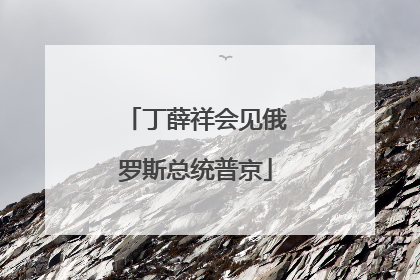 丁薛祥会见俄罗斯总统普京