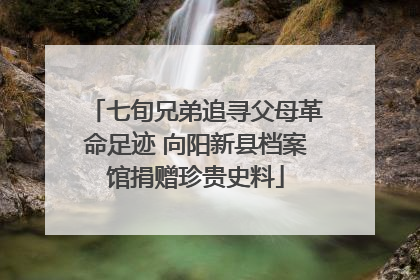 七旬兄弟追寻父母革命足迹 向阳新县档案馆捐赠珍贵史料