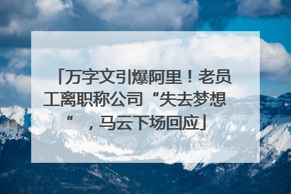 万字文引爆阿里！老员工离职称公司“失去梦想”，马云下场回应