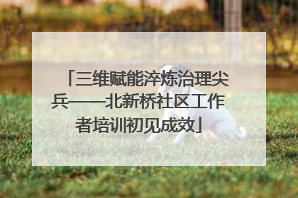 三维赋能淬炼治理尖兵——北新桥社区工作者培训初见成效