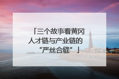 三个故事看黄冈人才链与产业链的“严丝合缝”