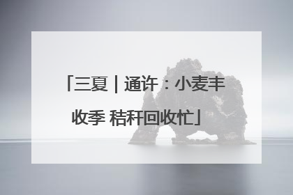 三夏｜通许：小麦丰收季 秸秆回收忙