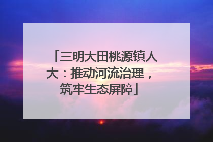 三明大田桃源镇人大：推动河流治理，筑牢生态屏障