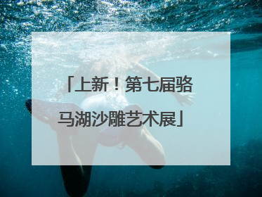 上新！第七届骆马湖沙雕艺术展