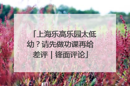 上海乐高乐园太低幼？请先做功课再给差评｜锋面评论