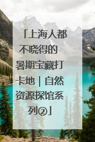 上海人都不晓得的 暑期宝藏打卡地｜自然资源探馆系列②