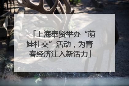 上海奉贤举办“萌娃社交”活动，为青春经济注入新活力