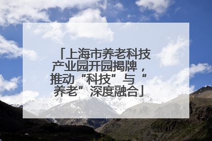 上海市养老科技产业园开园揭牌，推动“科技”与“养老”深度融合
