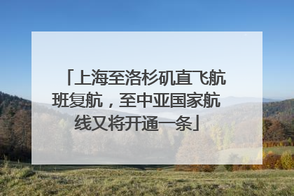 上海至洛杉矶直飞航班复航，至中亚国家航线又将开通一条