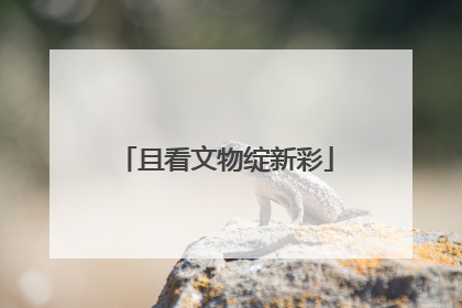 且看文物绽新彩