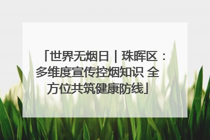 世界无烟日｜珠晖区：多维度宣传控烟知识 全方位共筑健康防线
