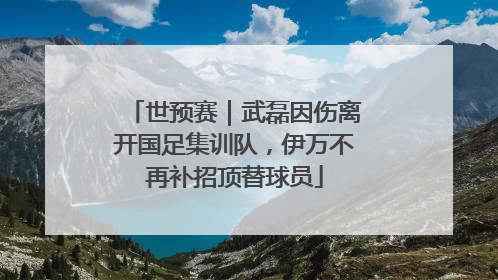 世预赛｜武磊因伤离开国足集训队，伊万不再补招顶替球员