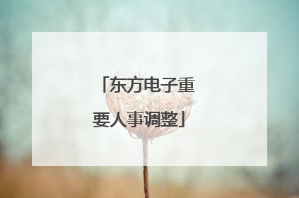 东方电子重要人事调整